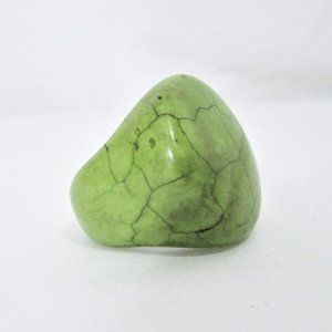 Green Turquoise Ring Dyed Solid Howlite Stone 9